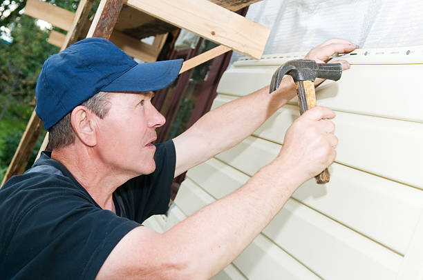 Best Siding Painting and Refinishing  in Stickney, IL